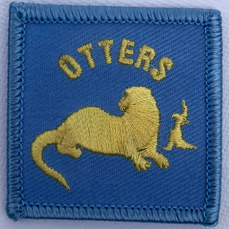 Swimming Otter Badge